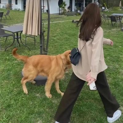 逆著风的旅行